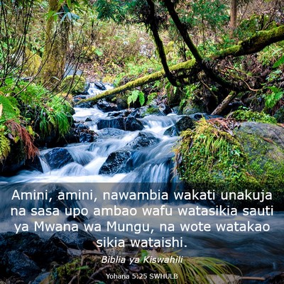 Picture 03 - Yohana 5:25 SWHULB - Amini, amini, nawambia wakati unakuja na sasa upo - Bible Verse Picture