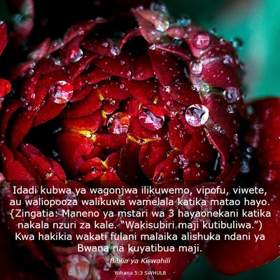 Picture 03 - Yohana 5:3 SWHULB - Idadi kubwa ya wagonjwa ilikuwemo, vipofu, - Bible Verse Picture