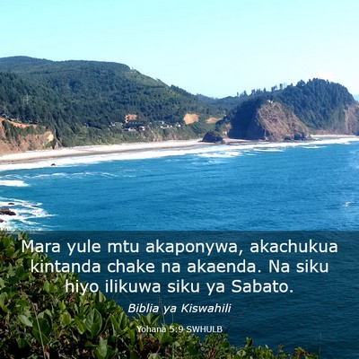 Picture 03 - Yohana 5:9 SWHULB - Mara yule mtu akaponywa, akachukua kintanda chake - Bible Verse Picture