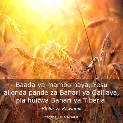 Picture 03 - Yohana 6:1 SWHULB - Baada ya mambo haya, Yesu alienda pande za Bahari - Bible Verse Picture