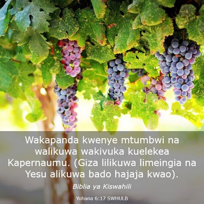 Picture 03 - Yohana 6:17 SWHULB - Wakapanda kwenye mtumbwi na walikuwa wakivuka - Bible Verse Picture