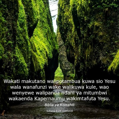 Picture 03 - Yohana 6:24 SWHULB - Wakati makutano walipotambua kuwa sio Yesu wala - Bible Verse Picture