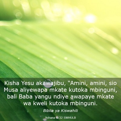 Picture 03 - Yohana 6:32 SWHULB - Kisha Yesu akawajibu, “Amini, amini, sio Musa - Bible Verse Picture