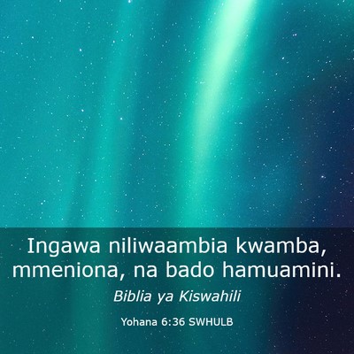Picture 03 - Yohana 6:36 SWHULB - Ingawa niliwaambia kwamba, mmeniona, na bado - Bible Verse Picture
