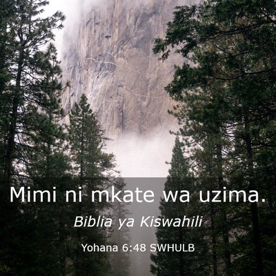 Picture 03 - Yohana 6:48 SWHULB - Mimi ni mkate wa - Bible Verse Picture