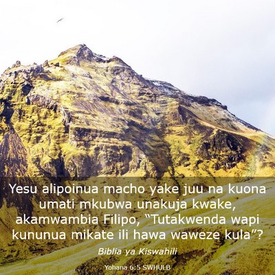 Picture 03 - Yohana 6:5 SWHULB - Yesu alipoinua macho yake juu na kuona umati - Bible Verse Picture