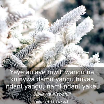 Picture 03 - Yohana 6:56 SWHULB - Yeye aulaye mwili wangu na kuinywa damu yangu - Bible Verse Picture