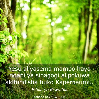 Picture 03 - Yohana 6:59 SWHULB - Yesu aliyasema mambo haya ndani ya sinagogi - Bible Verse Picture