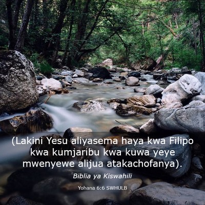 Picture 03 - Yohana 6:6 SWHULB - (Lakini Yesu aliyasema haya kwa Filipo kwa - Bible Verse Picture