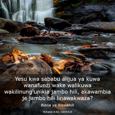 Picture 03 - Yohana 6:61 SWHULB - Yesu kwa sababu alijua ya kuwa wanafunzi wake - Bible Verse Picture