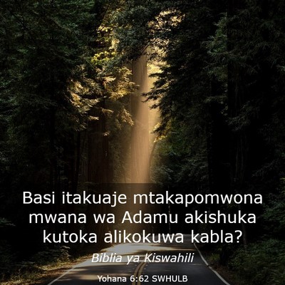 Picture 03 - Yohana 6:62 SWHULB - Basi itakuaje mtakapomwona mwana wa Adamu - Bible Verse Picture