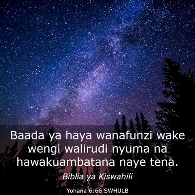 Picture 03 - Yohana 6:66 SWHULB - Baada ya haya wanafunzi wake wengi walirudi nyuma - Bible Verse Picture