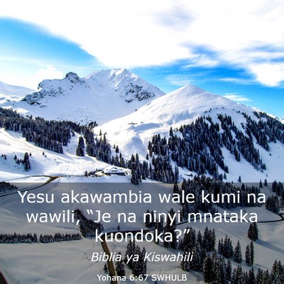 Picture 03 - Yohana 6:67 SWHULB - Yesu akawambia wale kumi na wawili, “Je na - Bible Verse Picture