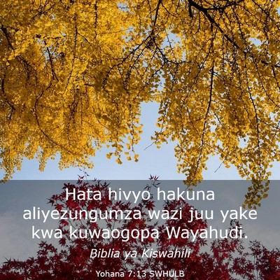 Picture 03 - Yohana 7:13 SWHULB - Hata hivyo hakuna aliyezungumza wazi juu yake kwa - Bible Verse Picture
