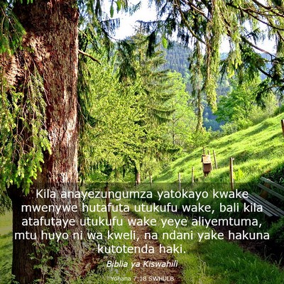 Picture 03 - Yohana 7:18 SWHULB - Kila anayezungumza yatokayo kwake mwenywe - Bible Verse Picture