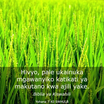 Picture 03 - Yohana 7:43 SWHULB - Hivyo, pale ukainuka mgawanyiko katikati ya - Bible Verse Picture