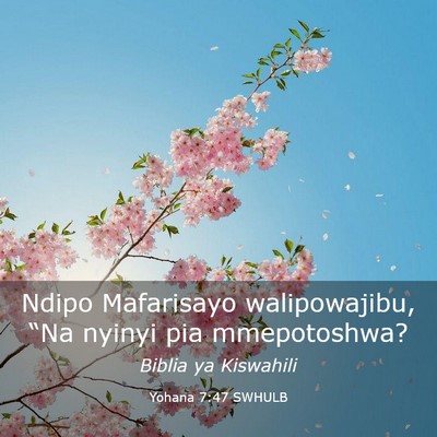 Picture 03 - Yohana 7:47 SWHULB - Ndipo Mafarisayo walipowajibu, “Na nyinyi pia - Bible Verse Picture