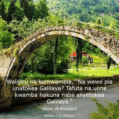 Picture 03 - Yohana 7:52 SWHULB - Walijibu na kumwambia, “Na wewe pia unatokea - Bible Verse Picture