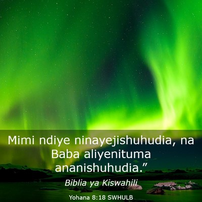 Picture 03 - Yohana 8:18 SWHULB - Mimi ndiye ninayejishuhudia, na Baba aliyenituma - Bible Verse Picture