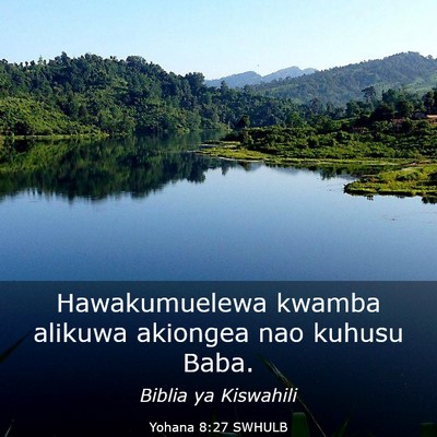Picture 03 - Yohana 8:27 SWHULB - Hawakumuelewa kwamba alikuwa akiongea nao kuhusu - Bible Verse Picture