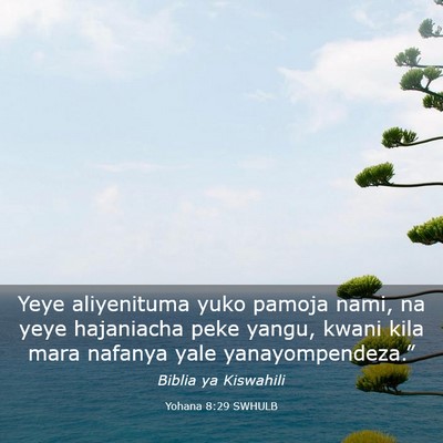 Picture 03 - Yohana 8:29 SWHULB - Yeye aliyenituma yuko pamoja nami, na yeye - Bible Verse Picture