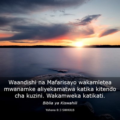 Picture 03 - Yohana 8:3 SWHULB - Waandishi na Mafarisayo wakamletea mwanamke - Bible Verse Picture