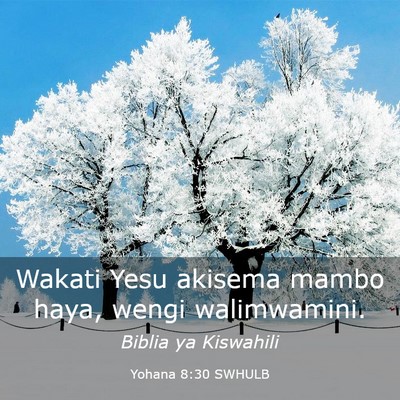 Picture 03 - Yohana 8:30 SWHULB - Wakati Yesu akisema mambo haya, wengi - Bible Verse Picture