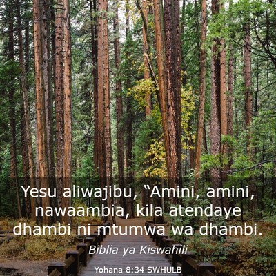 Picture 03 - Yohana 8:34 SWHULB - Yesu aliwajibu, “Amini, amini, nawaambia, kila - Bible Verse Picture