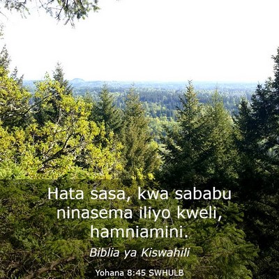 Picture 03 - Yohana 8:45 SWHULB - Hata sasa, kwa sababu ninasema iliyo kweli, - Bible Verse Picture