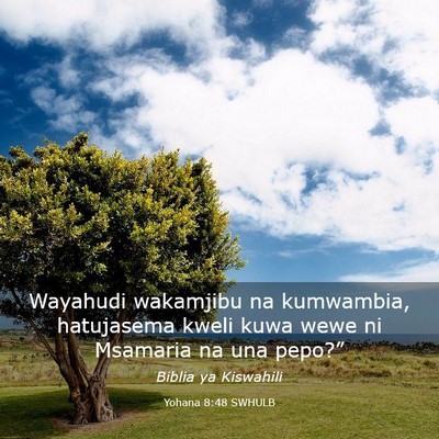 Picture 03 - Yohana 8:48 SWHULB - Wayahudi wakamjibu na kumwambia, hatujasema kweli - Bible Verse Picture