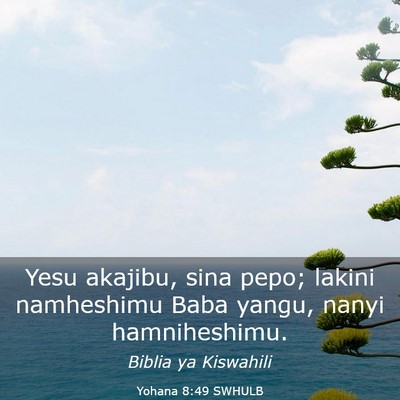 Picture 03 - Yohana 8:49 SWHULB - Yesu akajibu, sina pepo; lakini namheshimu Baba - Bible Verse Picture