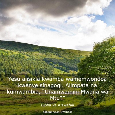Picture 03 - Yohana 9:35 SWHULB - Yesu alisikia kwamba wamemwondoa kwenye sinagogi. - Bible Verse Picture