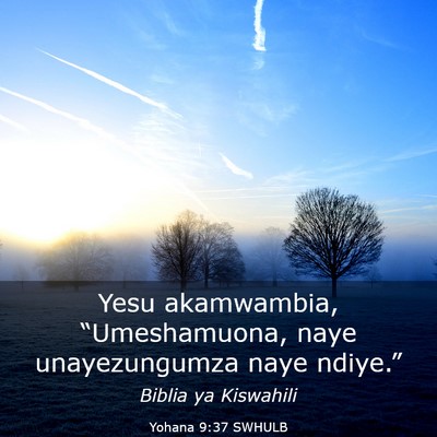 Picture 03 - Yohana 9:37 SWHULB - Yesu akamwambia, “Umeshamuona, naye - Bible Verse Picture