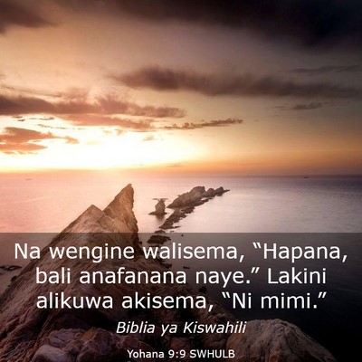 Picture 03 - Yohana 9:9 SWHULB - Na wengine walisema, “Hapana, bali anafanana - Bible Verse Picture