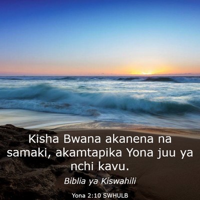 Picture 03 - Yona 2:10 SWHULB - Kisha Bwana akanena na samaki, akamtapika Yona - Bible Verse Picture