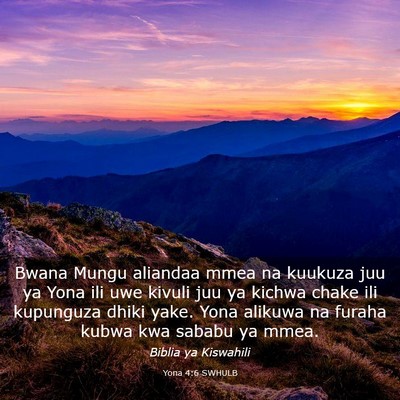 Picture 03 - Yona 4:6 SWHULB - Bwana Mungu aliandaa mmea na kuukuza juu ya Yona - Bible Verse Picture