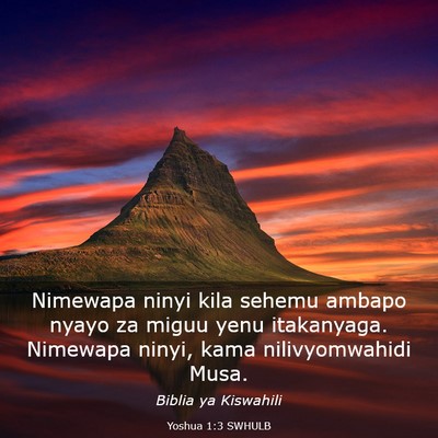 Picture 03 - Yoshua 1:3 SWHULB - Nimewapa ninyi kila sehemu ambapo nyayo za miguu - Bible Verse Picture