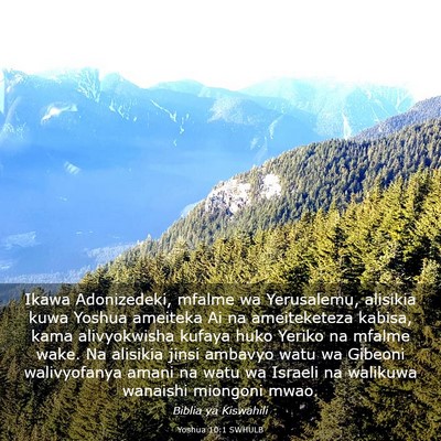 Picture 03 - Yoshua 10:1 SWHULB - Ikawa Adonizedeki, mfalme wa Yerusalemu, alisikia - Bible Verse Picture