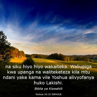 Picture 03 - Yoshua 10:35 SWHULB - na siku hiyo hiyo wakaiteka. Waliupiga kwa upanga - Bible Verse Picture