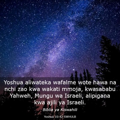 Picture 03 - Yoshua 10:42 SWHULB - Yoshua aliwateka wafalme wote hawa na nchi zao - Bible Verse Picture
