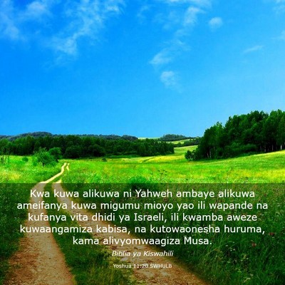 Picture 03 - Yoshua 11:20 SWHULB - Kwa kuwa alikuwa ni Yahweh ambaye alikuwa - Bible Verse Picture