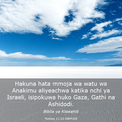 Picture 03 - Yoshua 11:22 SWHULB - Hakuna hata mmoja wa watu wa Anakimu aliyeachwa - Bible Verse Picture