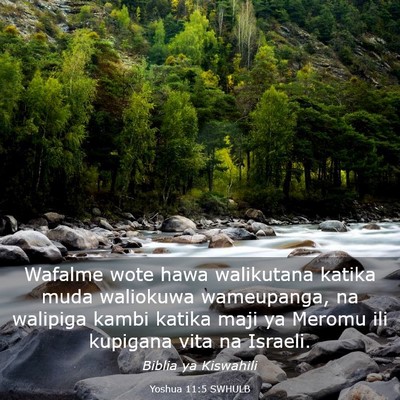 Picture 03 - Yoshua 11:5 SWHULB - Wafalme wote hawa walikutana katika muda - Bible Verse Picture