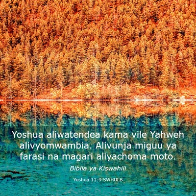 Picture 03 - Yoshua 11:9 SWHULB - Yoshua aliwatendea kama vile Yahweh - Bible Verse Picture