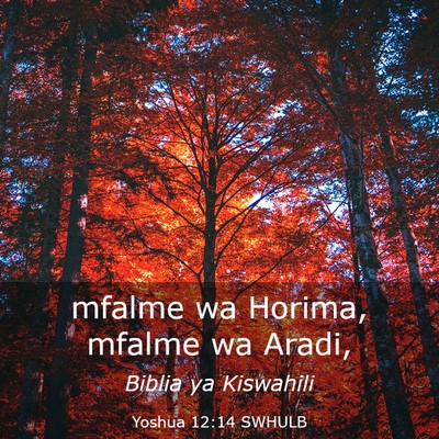 Picture 03 - Yoshua 12:14 SWHULB - mfalme wa Horima, mfalme wa - Bible Verse Picture