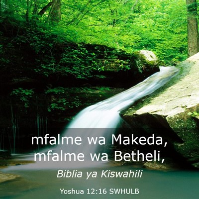 Picture 03 - Yoshua 12:16 SWHULB - mfalme wa Makeda, mfalme wa - Bible Verse Picture