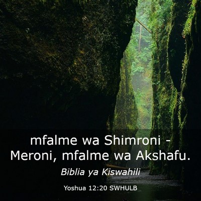 Picture 03 - Yoshua 12:20 SWHULB - mfalme wa Shimroni - Meroni, mfalme wa - Bible Verse Picture