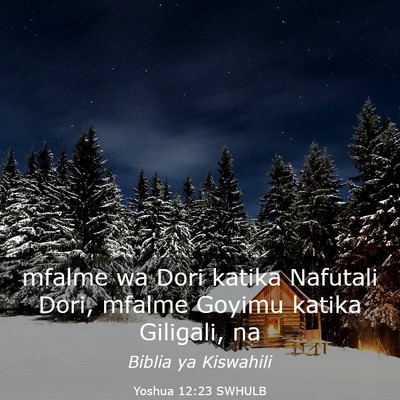 Picture 03 - Yoshua 12:23 SWHULB - mfalme wa Dori katika Nafutali Dori, mfalme - Bible Verse Picture