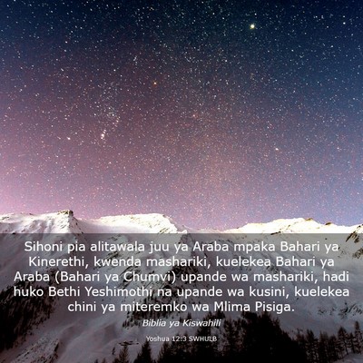 Picture 03 - Yoshua 12:3 SWHULB - Sihoni pia alitawala juu ya Araba mpaka Bahari ya - Bible Verse Picture