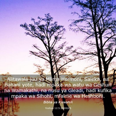 Picture 03 - Yoshua 12:5 SWHULB - Alitawala juu ya Mlima Hermoni, Saleka, na Bahani - Bible Verse Picture